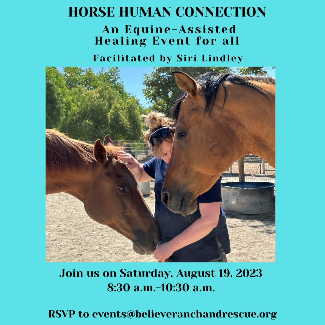Final Horse Human Connection July 29 Final Insta-2-1