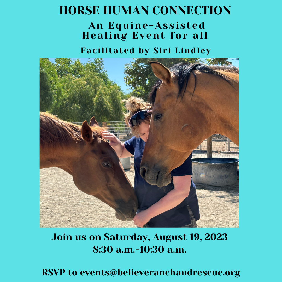 Final Horse Human Connection July 29 Final Insta-2-1 Final Horse Human Connection July 29 Final Insta-2-1