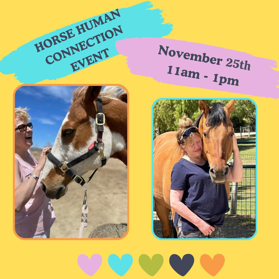 Horse Human Connect Event Update Horse Human Connect Event Update