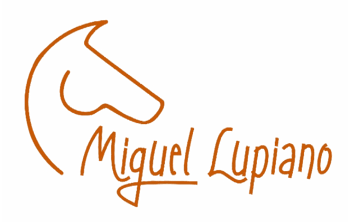 Miguel Logo Clear Background Miguel Logo Clear Background