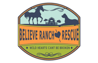 believe-logo-1 believe-logo-1
