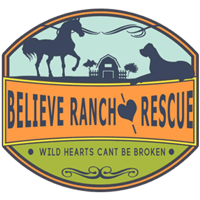 believe-logo believe-logo